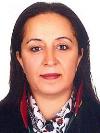 Av. İrem Geylani