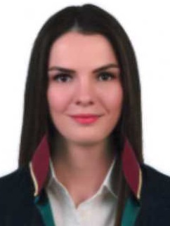 Av. İrşad İnce