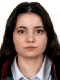 Av. İsmail Hakki Barin