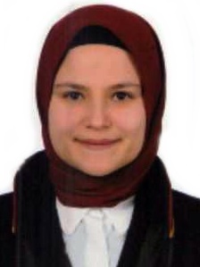 Av. Kaan Aydingül