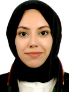 Av. Kayrahan Akin Balci