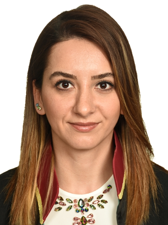 Av. Kerim Çapar
