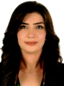 Av. Koray Günel