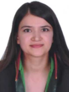 Av. Kumru Özer