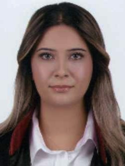 Av. Ladin Koç