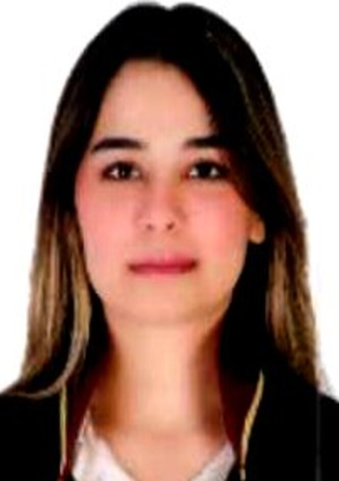 Av. Mahmut Atilla Kaya