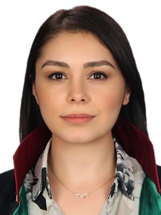 Av. Mahmut Bayatli