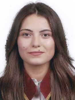 Av. Mahmut Çelik