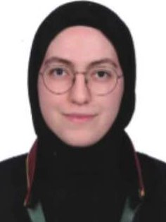 Av. Mahmut Ergün