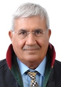 Av. Mahmut Güler