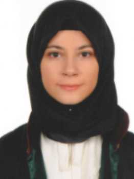 Av. Mahmut Karadeniz