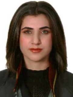 Av. Mehmet Akif Dövencik