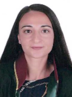 Av. Mehmet Akif Gökay