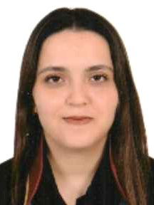 Av. Mehmet Ali Havali