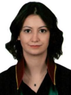 Av. Mehmet Ali Şeyhanli
