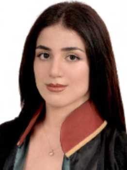 Av. Mehmet Düzgören