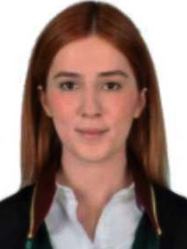 Av. Mehmet Emre Uysal