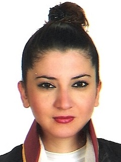 Av. Mehmet Fatih Soylu