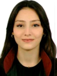 Av. Mehmet Firat Şahin
