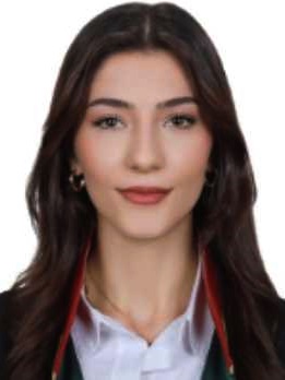Av. Mehmet Gülay