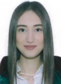 Av. Mehmet Hanifi Şahan