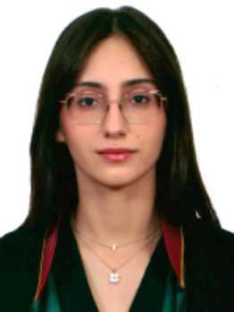 Av. Mehmet Kaya