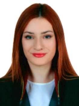 Av. Mehmet Köse