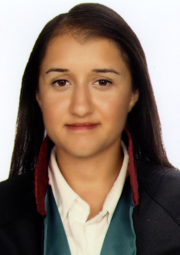 Av. Mehmet Mete Küçük