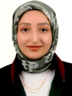 Av. Mehmet Oral