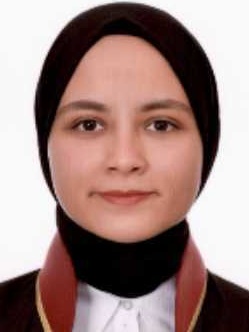 Av. Mehmet Özdemir