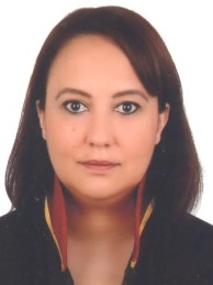 Av. Mehmet Sayil