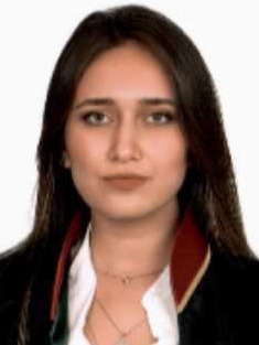 Av. Mehmet Tellioğlu