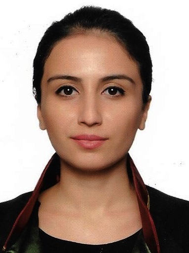 Av. Mehmet Yatağan
