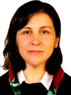 Av. Melih Aydin
