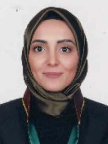 Av. Melik Firat Kizilkaya