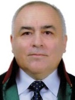 Av. Meral Erdik