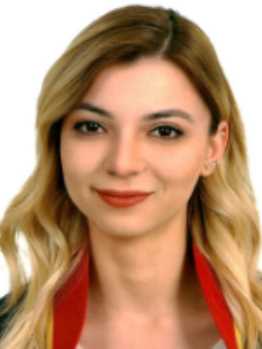 Av. Mert Gökalp