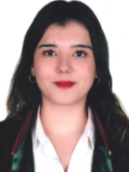 Av. Mert Muhammet İpek