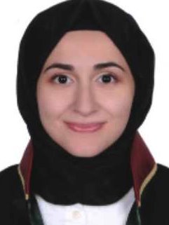 Av. Merve Atçeken