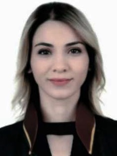Av. Merve Ökden