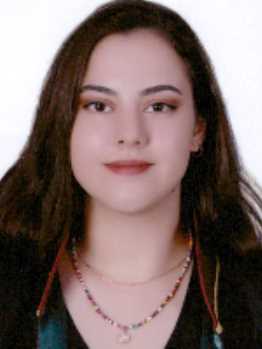 Av. Merve Zeybek Telek