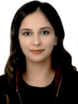 Av. Mestan Bariş Aydin