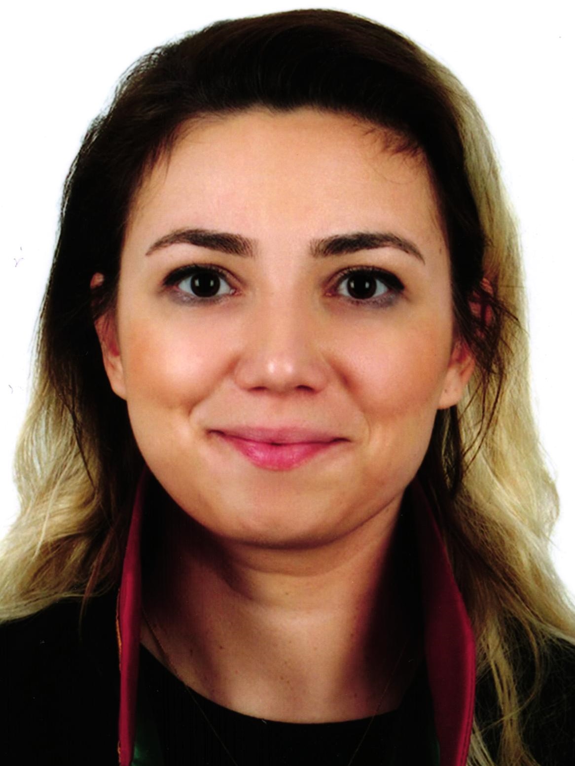 Av. Mete Efendioğlu