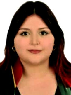 Av. Metehan Şahin