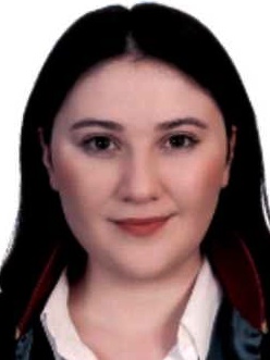 Av. Mikail Bülbül