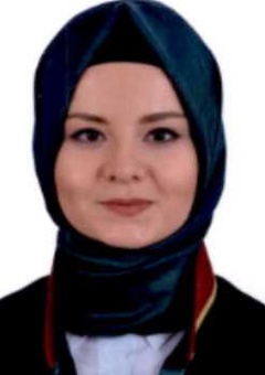 Av. Mikail Hasbek