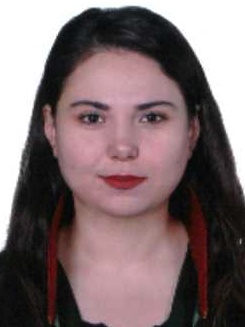Av. Muhammed Nurullah Seyda Akyildiz