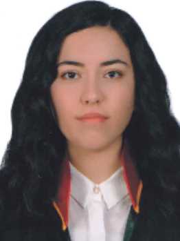 Av. Murat Barik