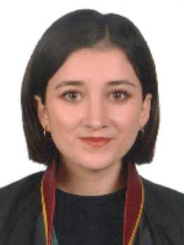 Av. Mustafa Fadlullah Çevikel