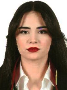 Av. Mustafa Özsemiz